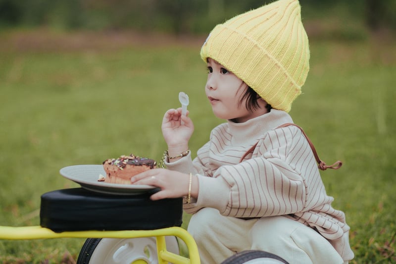 Enchanted Picnics